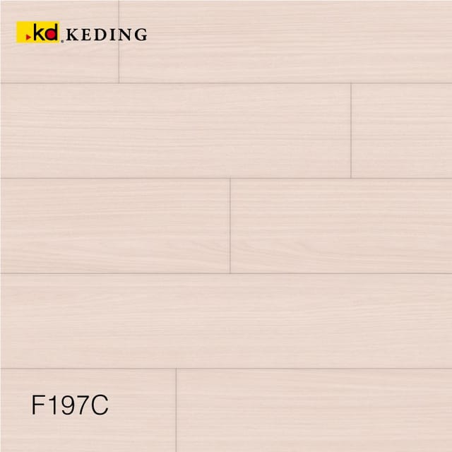 F197C